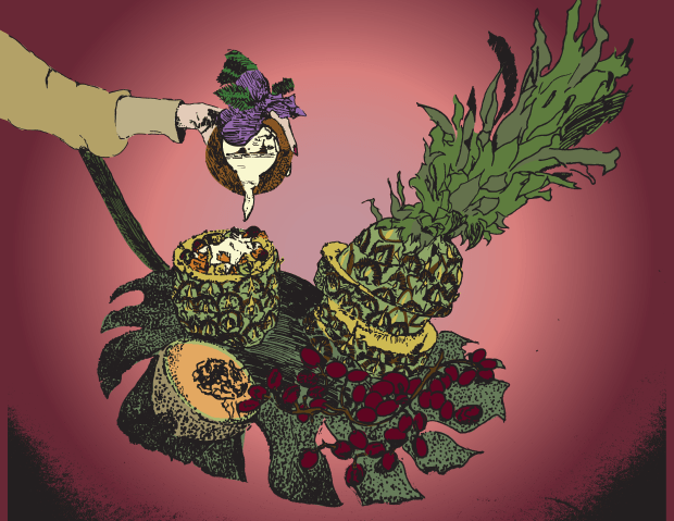 HawaiianPixelSalad_png